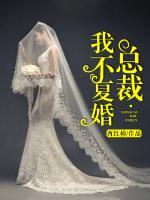 總裁，我不復婚