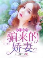 豪門(mén)暖婚：騙來(lái)的嬌妻