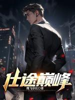 仕途巔峰