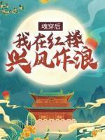 魂穿后，我在紅樓興風(fēng)作浪