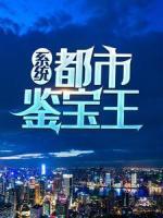 系統(tǒng)：都市鑒寶王