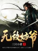 無(wú)敵姑爺