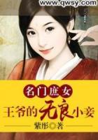 名門庶女：王爺?shù)臒o良小妾