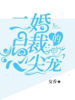 二婚總裁的心尖寵
