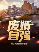 廢婿自強(qiáng)：捧紅了我的歌手老婆