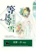 等風(fēng)等雪，等不到你