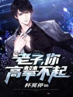 老子，你高攀不起
