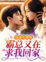 追妻火葬場：霸總又在求我回家