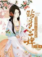 薄情帝王的新妃：貼身宮婢