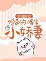 隱婚成愛：傅總的暖床小嬌妻