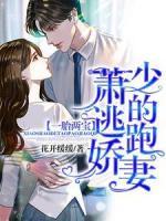 一胎兩寶：蕭少的逃跑嬌妻