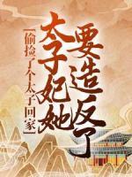 偷撿了個(gè)太子回家，太子妃她要造反了