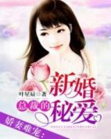 總裁的新婚秘愛