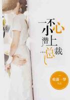 一不小心潛上總裁