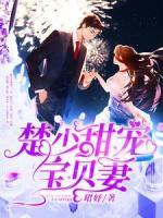 楚少甜寵寶貝妻