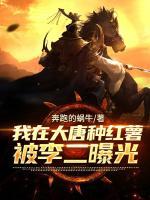 我在大唐種紅薯，被李二曝光了