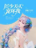 厲少天天寵壞我