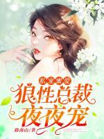 私寵蜜愛：狼性總裁，夜夜寵
