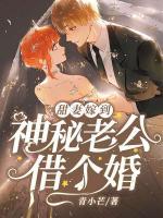 甜妻嫁到，神秘老公借個婚