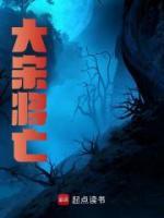 大宋將亡
