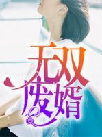 無雙廢婿