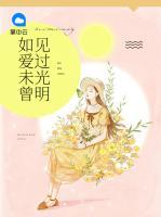 如愛未曾見過光明