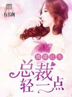 婚謀已久：總裁，輕一點