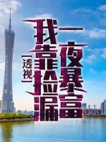 透視：我靠撿漏一夜暴富