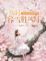 彼時(shí)暮雪勝風(fēng)月