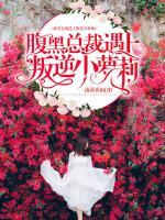 腹黑總裁遇上叛逆小蘿莉