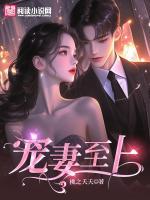 寵妻至上