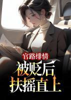 官路緋情：被貶后扶搖直上