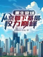 重生官場：從京都下基層權(quán)利巔峰