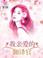 我親愛的翻譯官