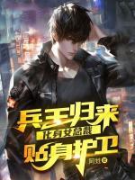 兵王歸來，化身女總裁貼身護(hù)衛(wèi)
