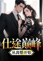 仕途巔峰：從離婚開始