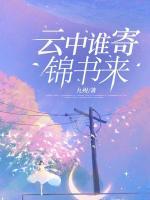 云中誰寄錦書來