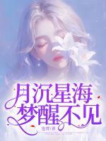 月沉星海，夢醒不見