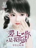 愛上你是我的劫