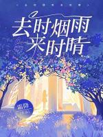 去時(shí)煙雨來時(shí)晴