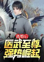 離婚后，醫(yī)武至尊強勢崛起