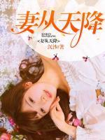 妻從天降