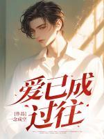 愛(ài)已成過(guò)往