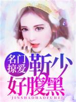名門(mén)掠愛(ài)：靳少好腹黑