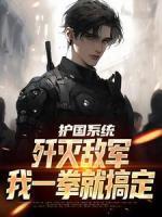 護(hù)國系統(tǒng)：殲滅敵軍我一拳就搞定