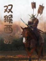 雙猴西游