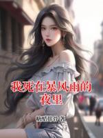 我死在暴風雨的夜里