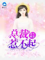 重生辣妻：總裁惹不起