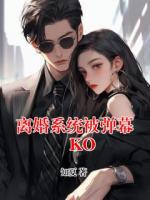離婚系統(tǒng)被彈幕KO
