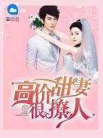 高價甜妻很撩人